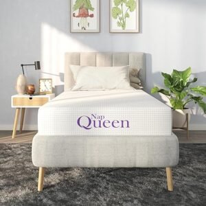 NapQueen 8-Inch Twin Charcoal Memory Foam Mattress