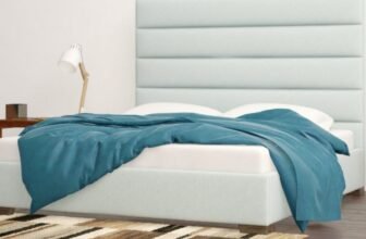 Comprehensive Review of the Vida Chance Bone Bed Is It Worth the Investment