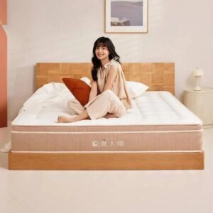 Luxury Queen Size Sleeping Mattress Comforter