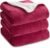Bedsure Queen Sherpa Fleece Blanket – Cozy and Soft Red